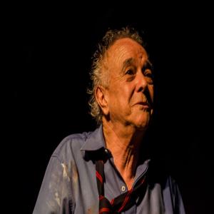 avatar Anibal Domingo Vicentin